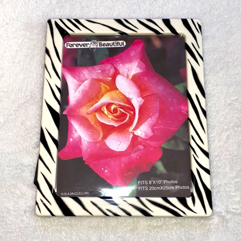 Zebra print picture frame